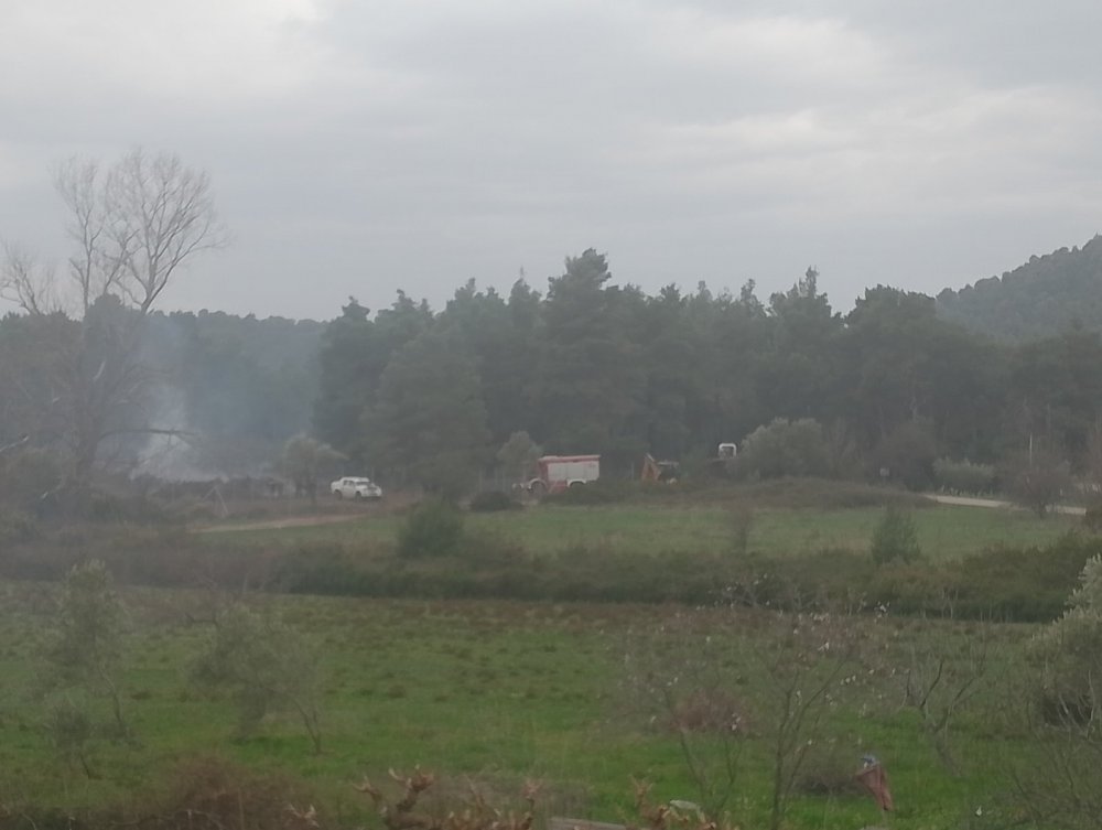 Σκόπελος: Παρέμβαση της Πυροσβεστικής σε φωτιά κλαδιών λόγω αέρα