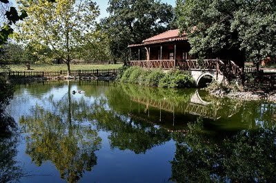 Κατέστρεψαν καινούργια παράθυρα στους ξύλινους οικίσκους στο δάσος Κουρί