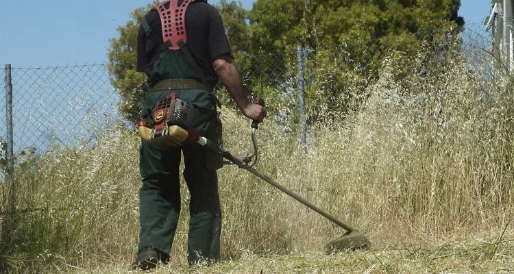 Τον καθαρισμό οικοπέδων από τους ιδιοκτήτες ζητάει το Γραφείο Πολιτικής Προστασίας Δήμου Σκοπέλου 