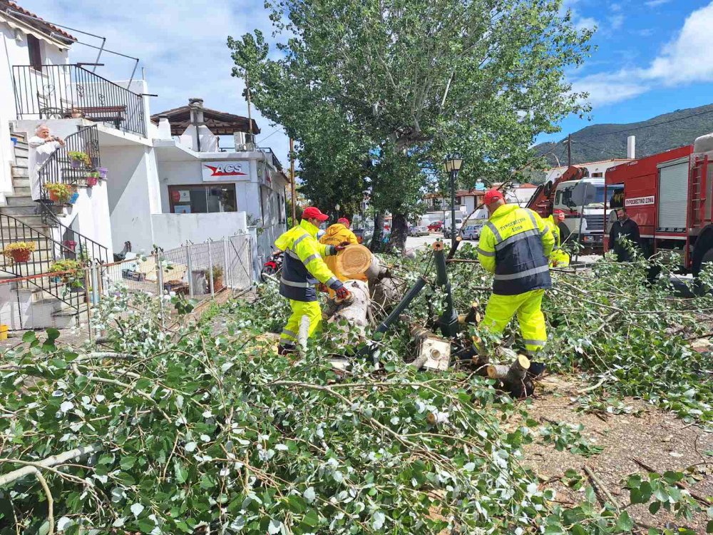 Κακοκαιρία στις Σποράδες:  Το σύνολο των ζημιών στη Σκόπελο έγιναν από τον δυνατό αέρα