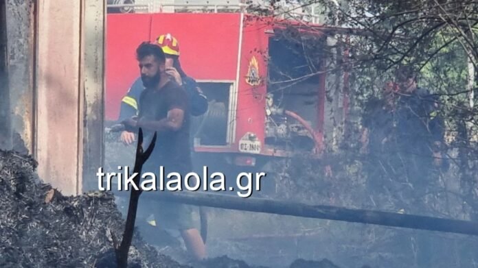 Τρίκαλα: Φωτιά έκαψε κτηνοτροφική μονάδα με ζώα μέσα