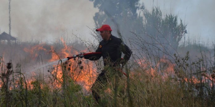 Φωτιά στον Αετόλοφο – Μεγάλη κινητοποίηση της Πυροσβεστικής