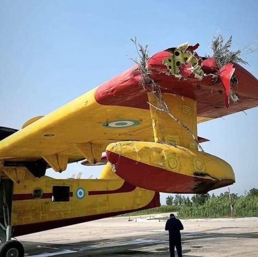 Αυτή είναι η εικόνα του Canadair 215 μετά την πρόσκρουση σε κλαδιά πεύκου