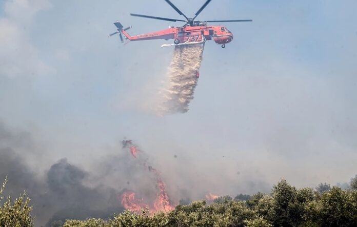 Συναγερμός για φωτιά στην Αγία Τριάδα Φαρσάλων – Χτύπησε το 112 και στον Βόλο