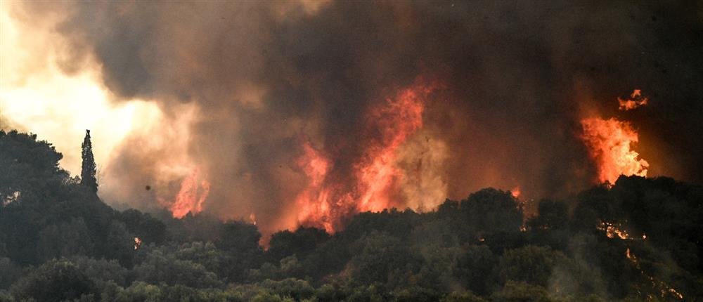 Φωτιά στον Όλυμπο στην περιοχή Κορομηλιά