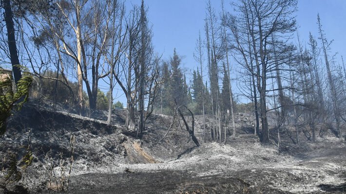 ΚΚΕ : Να αποσυρθεί ο κανονισμός πυροπροστασίας  που μεταφέρει ευθύνες & οικονομικά βάρη  στους δήμους & στους δημότες