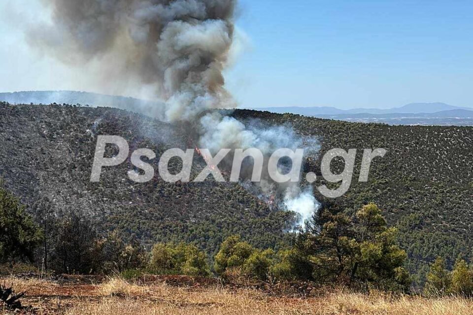  Εύβοια : Μεγάλη αναζωπύρωση πάνω από το χωριό Αφράτι ( Photos – Video )