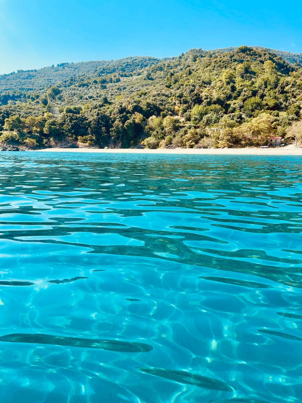 Δήμος Ζαγοράς – Μουρεσίου : Εξαιρετικής ποιότητας νερά κολύμβησης – Αποτελέσματα αναλύσεων 3 Αυγούστου 2024