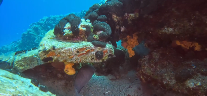 (video) SKIATHOS DIVING CENTER: Εντυπωσιακές εικόνες σε βάθος 15μ του Τσουγκριά 