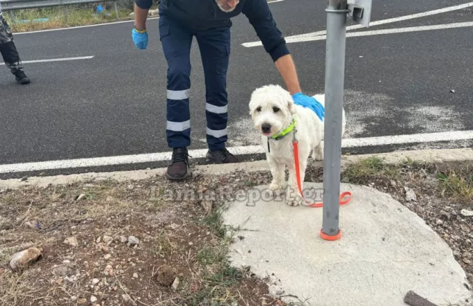 Νεκρός 54χρονος σε τροχαίο στη Λαμία