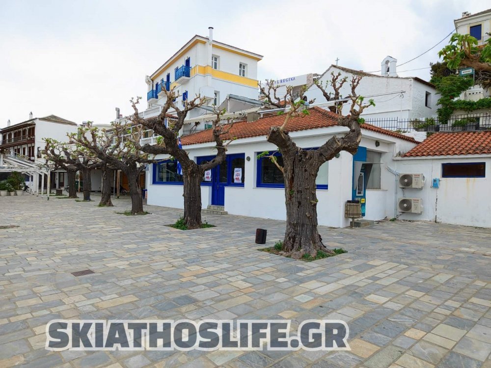 Το ΚΑΠΗ Σκοπέλου κόβει την Βασιλόπιτα του & χαρίζει πλούσια δώρα!