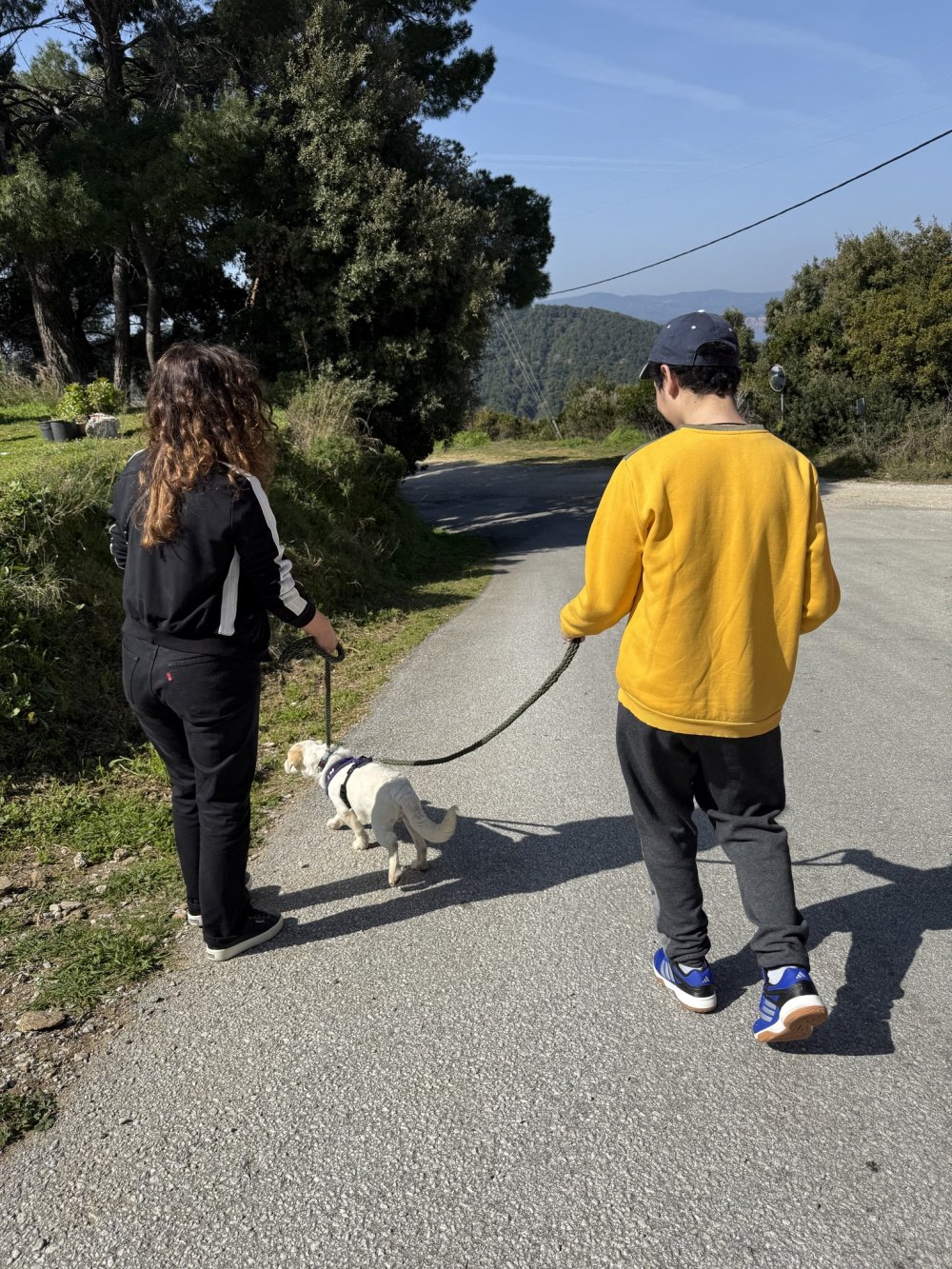 (εικόνες) To καταφύγιο σκύλων «Dog Shelter» επισκέφτηκε το ΕΕΕΕΚ Σκιάθου