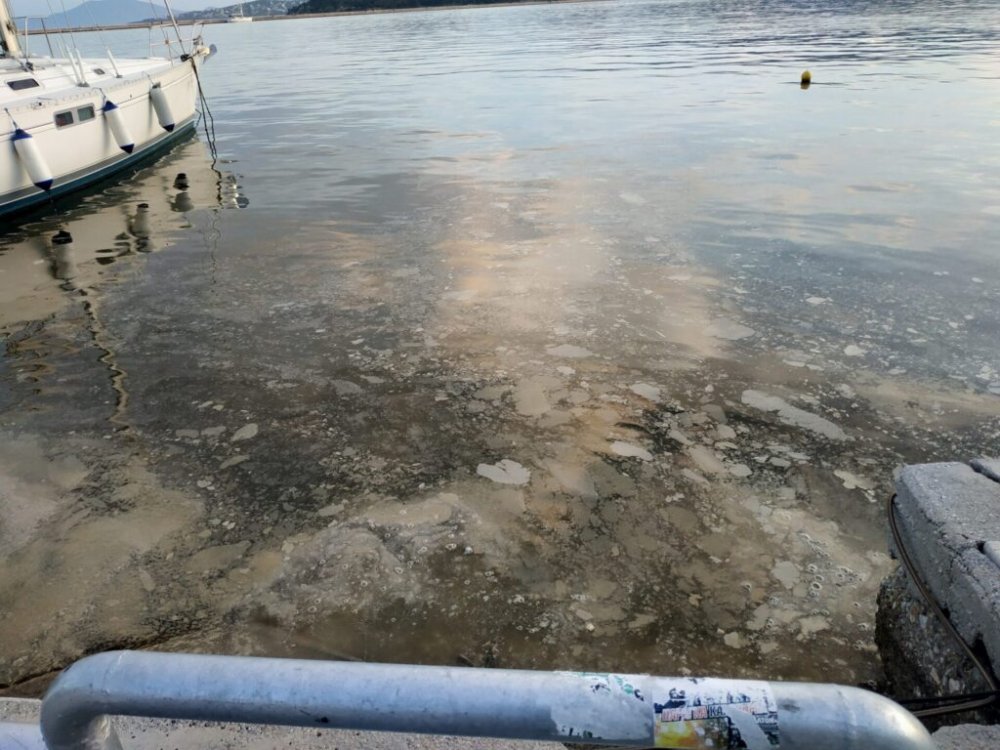 Αφόρητη δυσοσμία από θαλάσσια ρύπανση στο λιμάνι του Βόλου – Δειγματοληψίες για μικροβιακό φορτίο