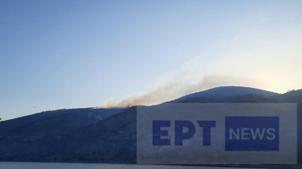 Χίος: Μεγάλη αναζωπύρωση στο βουνό Προβατά