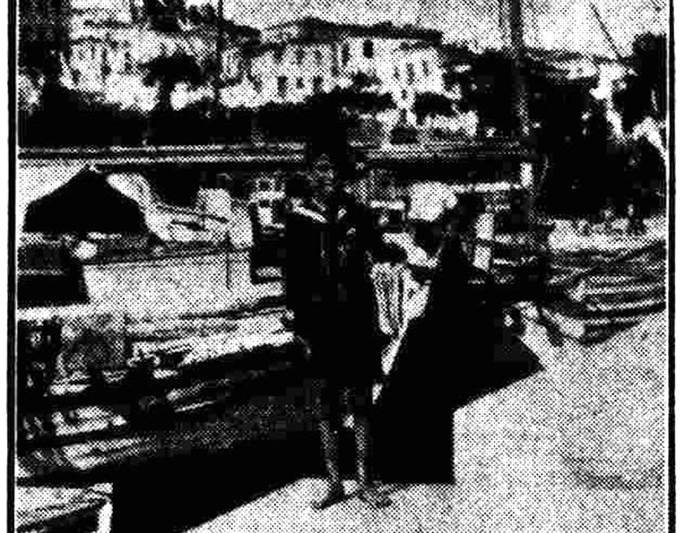 Ο Πλανόδιος Εφημεριδοπώλης της Σκιάθου και ο Γκεμπελς ! | γράφει ο Γιώργος Σανιδάς