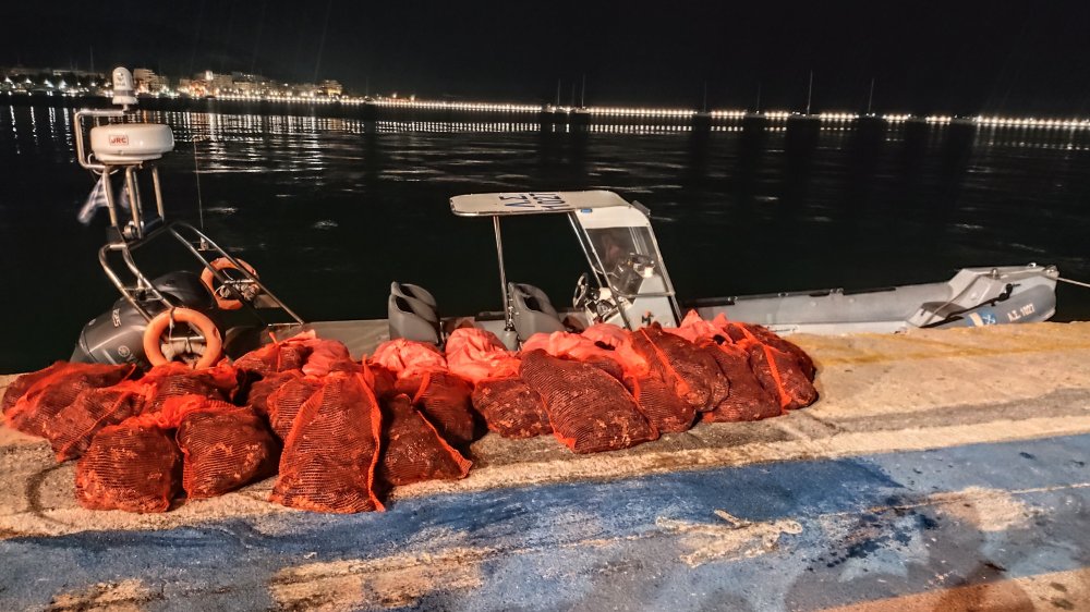 Κατασχέθηκαν 10.200 τεμάχια αχινών και 35 κιλά σπόγγων στον Πλατανιά Πηλίου (εικόνες)