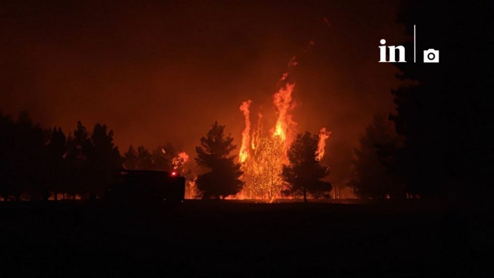 Ολονύχτια μάχη με τις φλόγες στον Ωρωπό – Σε πύρινο κλοιό το Ασπροχώρι