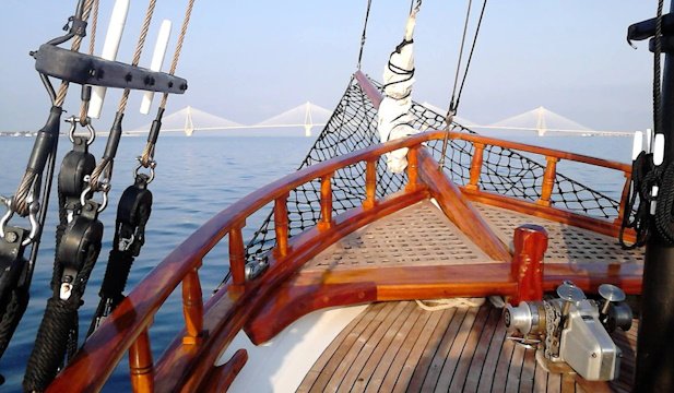 «Δώστε ζωή στα καρνάγια που σβήνουν» – Από τα 300 πλέον στην Ελλάδα έχουν μείνει 70