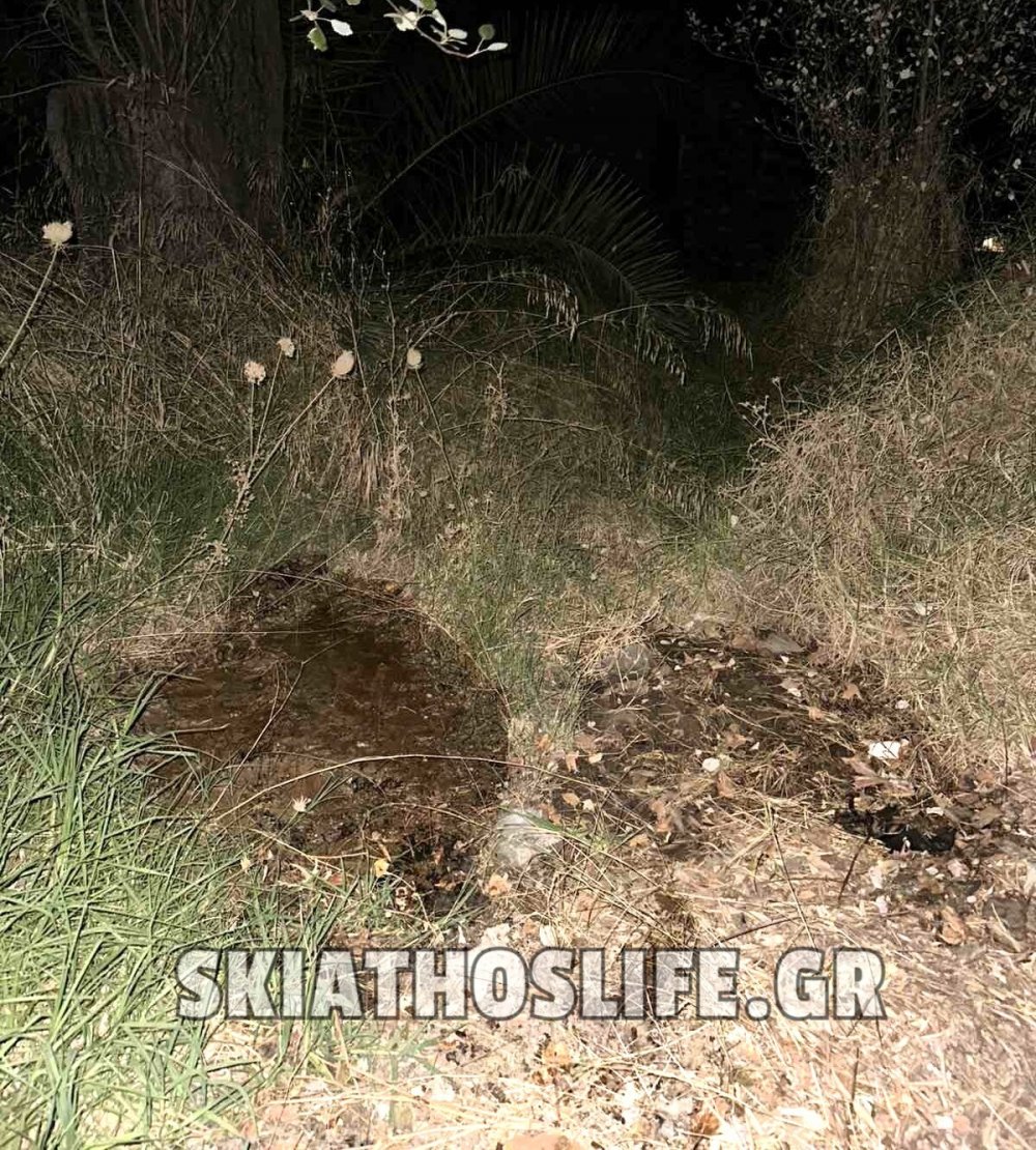 Ντροπή! Επιχειρηματίας πετάει λάδια μέσα στη νύχτα πίσω από τη στάση στην Αγία Παρασκευή – Σκιάθος