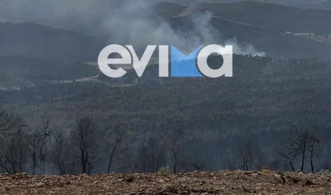 Φωτιά: Μεγάλη αναζωπύρωση στην Εύβοια - Νέος συναγερμός στον Πισσώνα