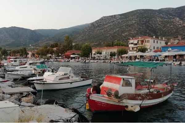 Το Σάββατο 2 Αυγούστου η Ψαράδικη Βραδιά στην Αγριά   