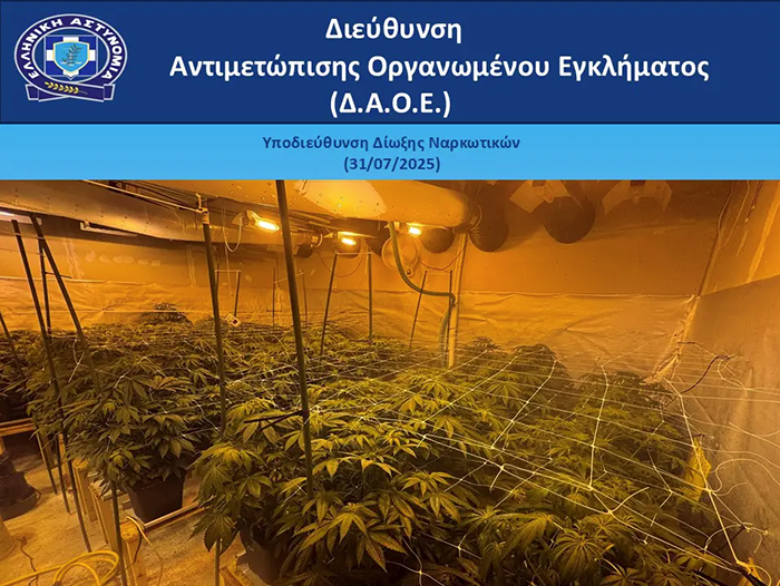 Σπίτι – εργαστήριο κάνναβης – Eπαγγελματίας της Σκιάθου o «οικοδεσπότης »