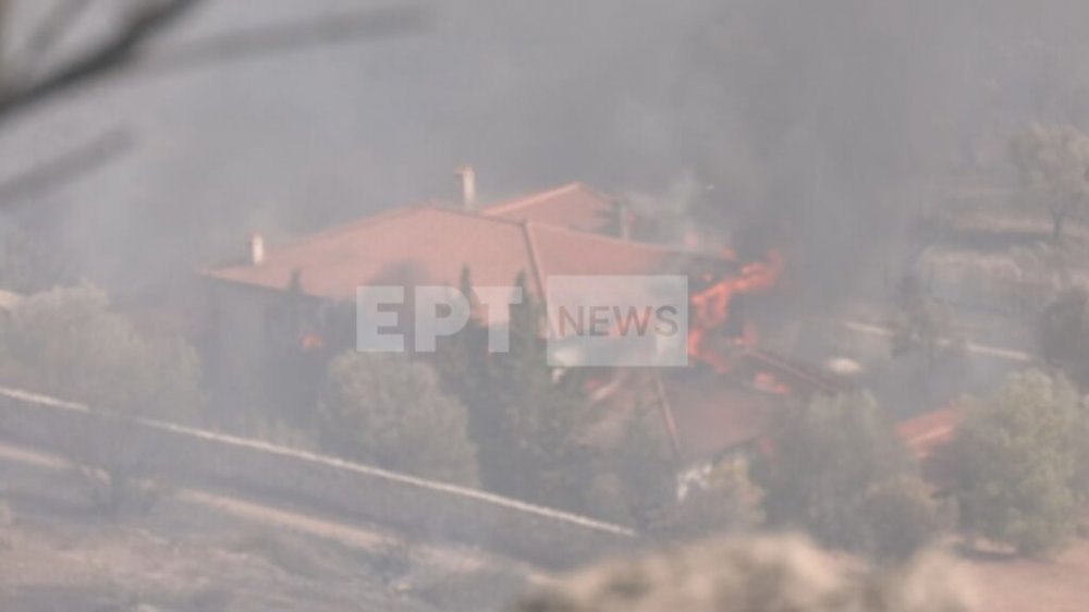 Φωτιά τώρα: Καίγονται σπίτια στην Κερατέα – Τεράστια μάχη των πυροσβεστών με την πύρινη λαίλαπα