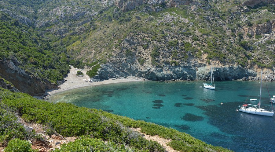Περί ισονομίας και εισιτηρίου εισόδου στο θαλάσσιο πάρκο | του Γιάννη Αθανασίου