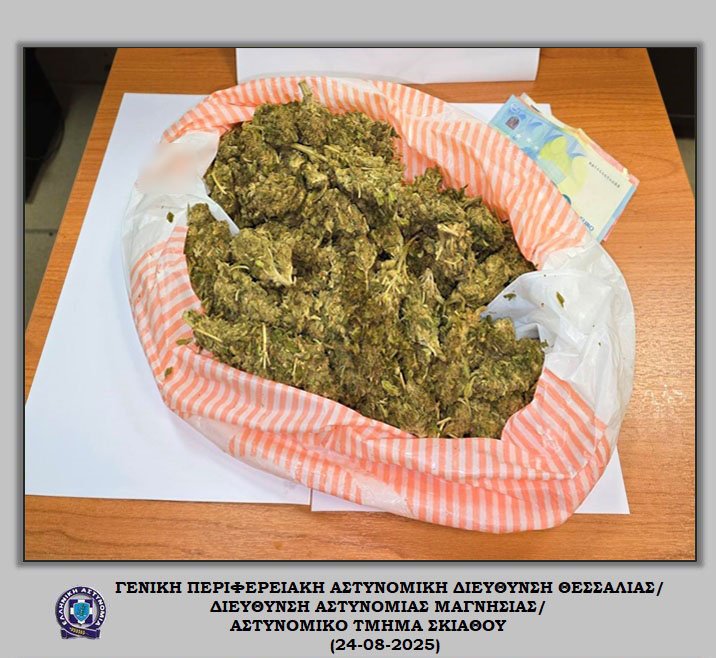 Δίωξη για διακίνηση ναρκωτικών σε τρεις 18χρονους που πιάστηκαν στην Σκιάθο με μισό κιλό χασίς