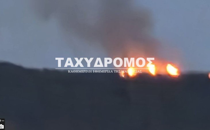 Μάχη να μην επεκταθεί η φωτιά που ξέσπασε στο τρίγωνο Σωρού- Διμηνίου- Σέσκλου