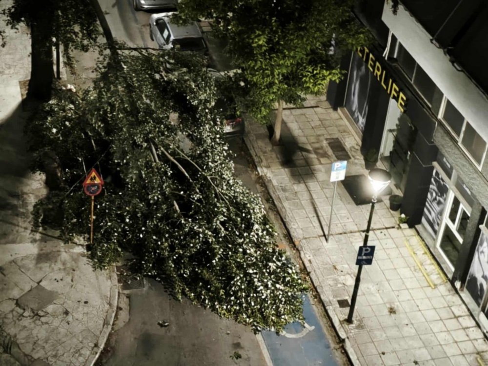 Ισχυροί άνεμοι σαρώνουν τον Βόλο – Ζημιές σε οχήματα, πτώσεις δέντρων και διακοπές ρεύματος