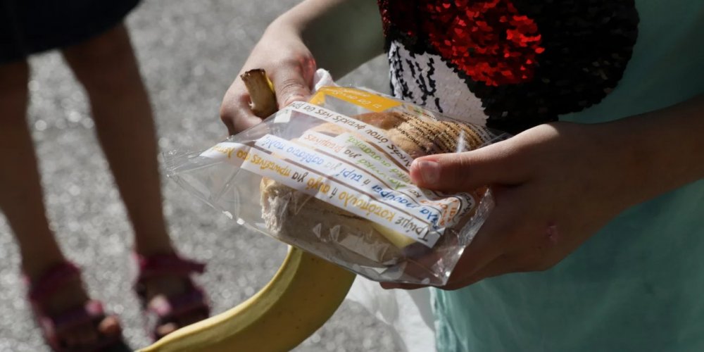 Σε 55 σχολεία της Μαγνησίας θα διανέμονται δωρεάν σχολικά γεύματα – Δείτε ποια είναι