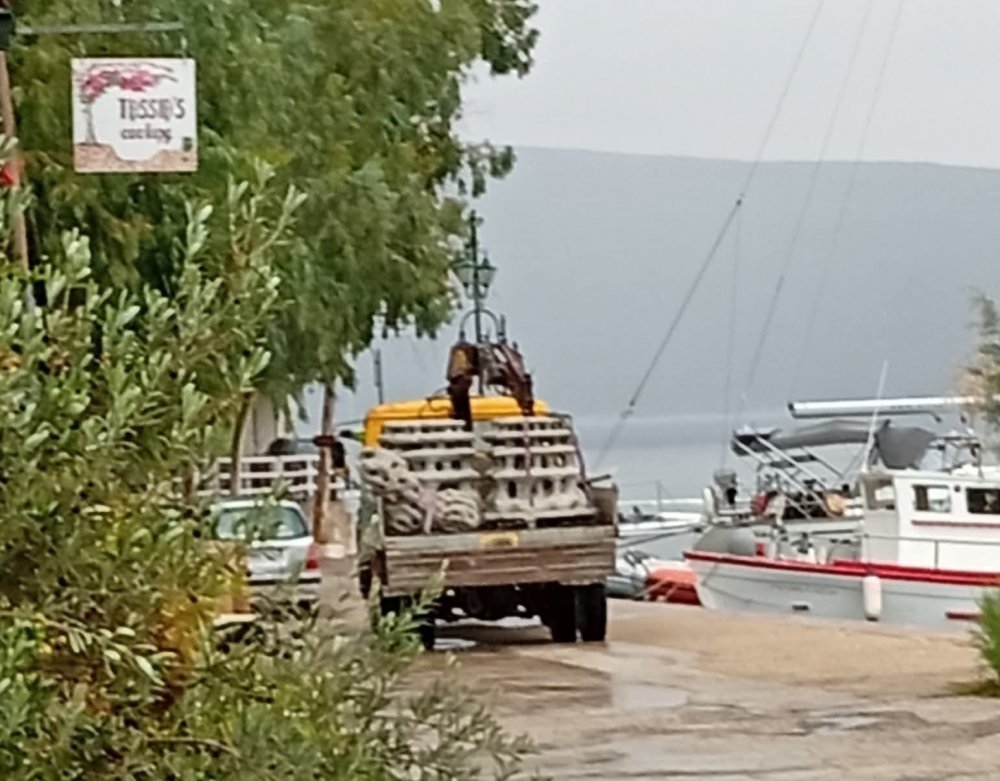 Η δημοκρατία καταποντίστηκε στον βυθό του θαλάσσιου πάρκου | γράφει ο Ιωάννης Αθανασίου