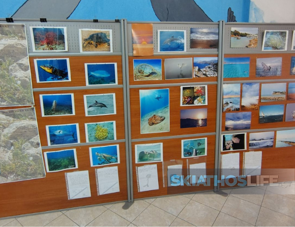 Συμμετοχή μαθητών /τριών και εκπαιδευτικών του Γυμνασίου ΛΤ Αλοννήσου σε εργαστήρια για τη Μεσόγειο σε συνεργασία με τη Monaco Explorations (φωτο)