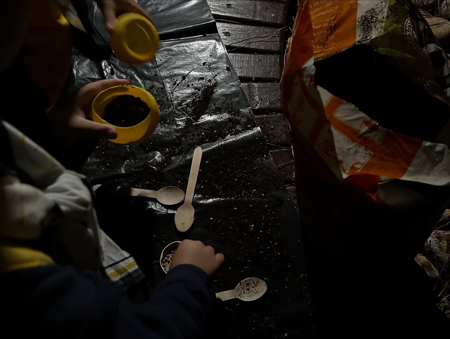 ΗΜΕΡΑ ΟΔΗΓΙΣΜΟΥ στη Σκιάθο | “Δώσε Χέρι” στον πλανήτη !!! (φωτο)