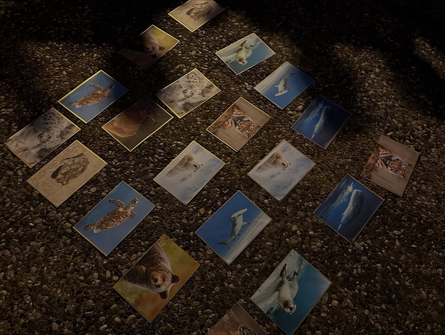 ΗΜΕΡΑ ΟΔΗΓΙΣΜΟΥ στη Σκιάθο | “Δώσε Χέρι” στον πλανήτη !!! (φωτο)