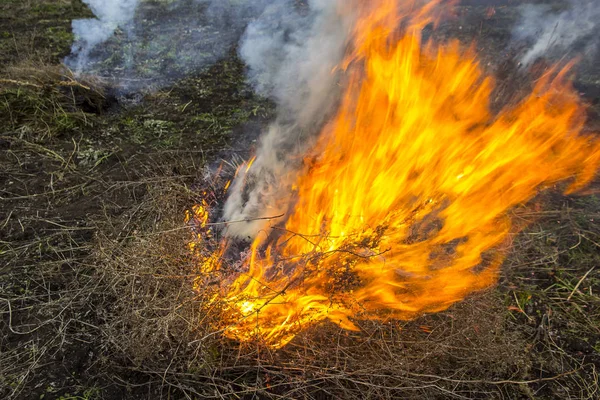 Η εκτεταμένη καύση υπολειμμάτων γεωργικών καλλιεργειών έφερε υπερβάσεις στις συγκεντρώσεις των αιωρούμενων σωματιδίων