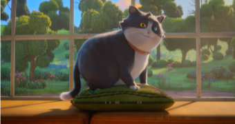 ΓΑΤΟΣ ΔΕΚΑΨΥΧΟΣ  : Σήμερα από την Κινηματογραφική Λέσχη του Γενικού Λυκείου