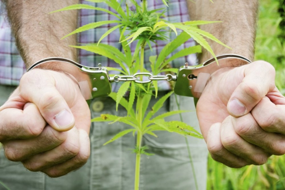 ΣΚΙΑΘΟΣ : Στη φυλακή ο 36χρονος για κατοχή και διακίνηση ναρκωτικών