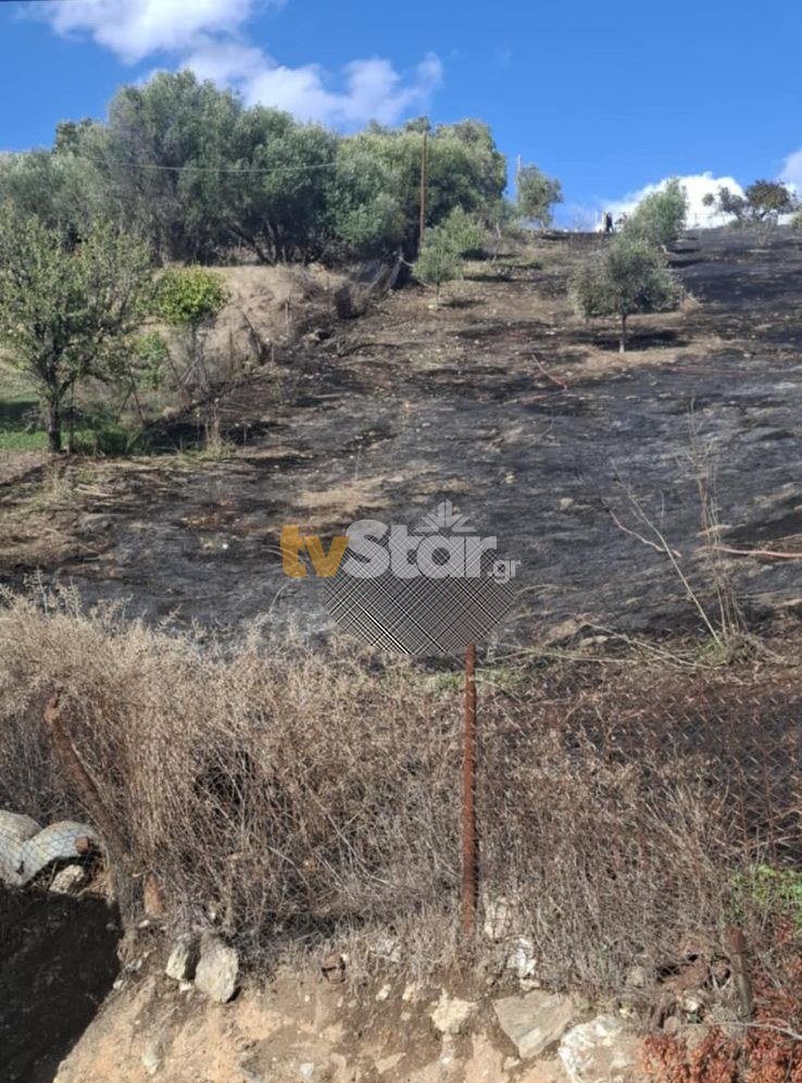 Τραγωδία στην Εύβοια: Αγρότης βρέθηκε απανθρακωμένος σε ελαιοπερίβολο. (φωτο)