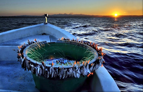 21 Νοεμβρίου: Παγκόσμια Ημέρα Αλιείας : 