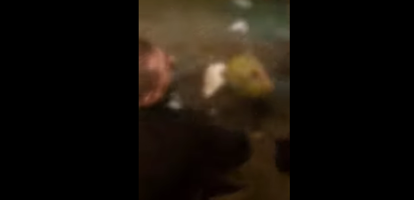 Θεσσαλονίκη: Οι διαρρήκτες που πήδηξαν από μπαλκόνι σφαδάζουν από τον πόνο – Βίντεο ντοκουμέντο