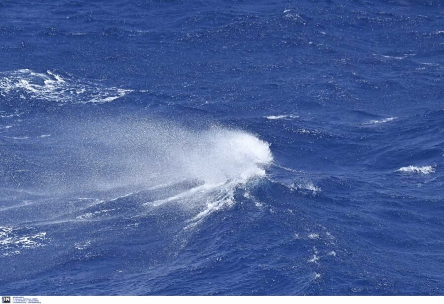 Πήλιο: Βρήκε πνιγμένο δύτη στα δίχτυα του και δεν ειδοποίησε κανέναν