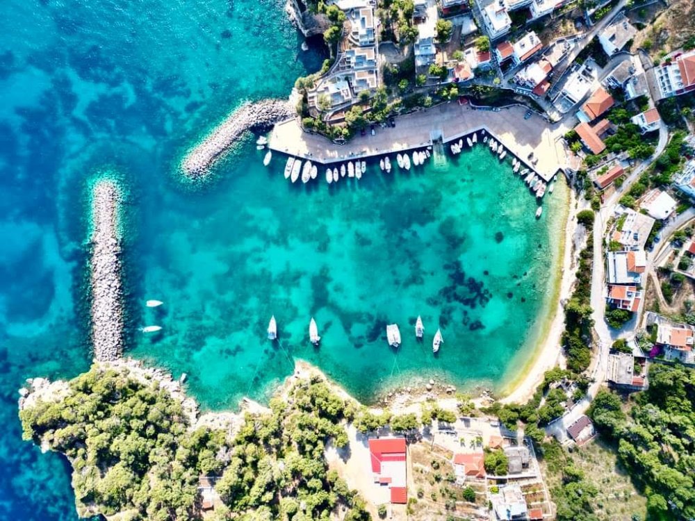 Σήμερα η κοπή πίτας του Αλιευτικού Αγροτικού Συλλόγου Αλοννήσου 