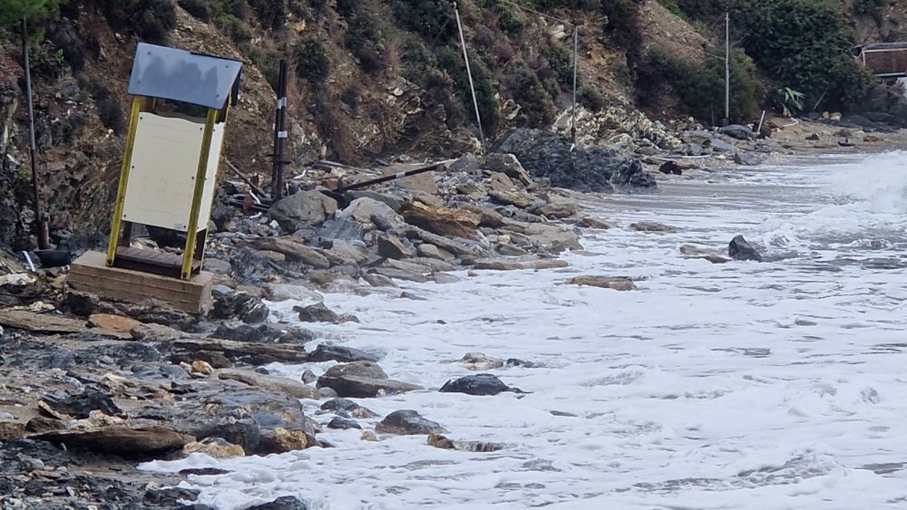 ΑΓΓΕΛΟΣ ΞΗΝΤΑΡΗΣ 