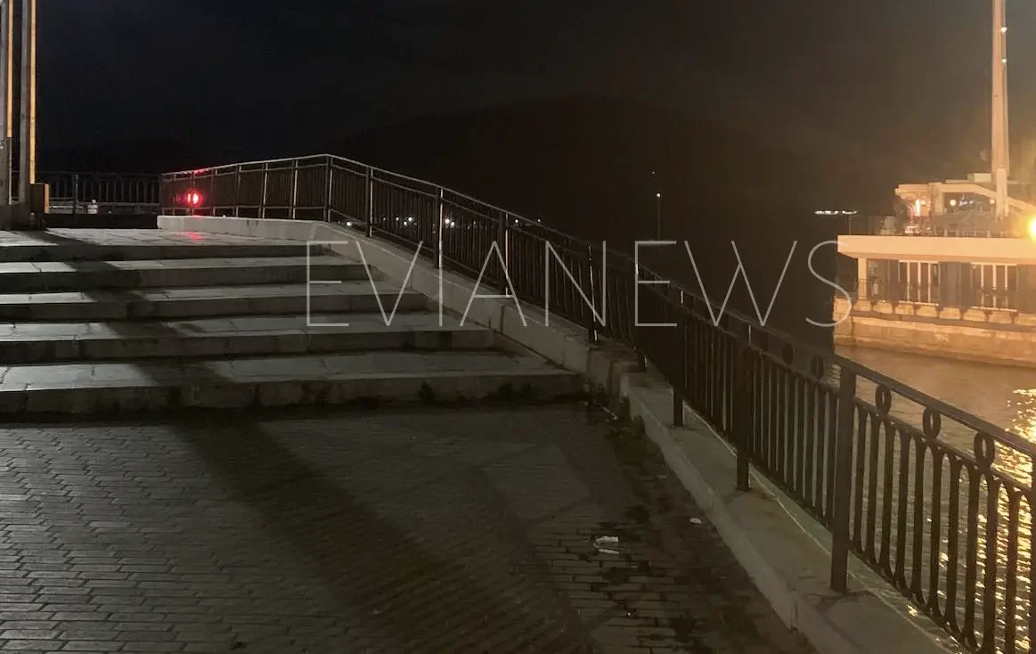 Ένας τετράποδος φίλος που ένωσε μια πόλη 150.000 κατοίκων στην Εύβοια