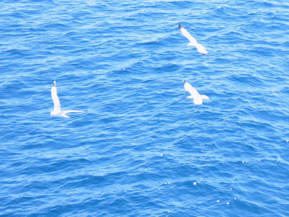 Χειμώνας στο Νησί: Μικροί Φάροι διώχνουν το σκοτάδι | του Κωνσταντίνου Κουμιώτη