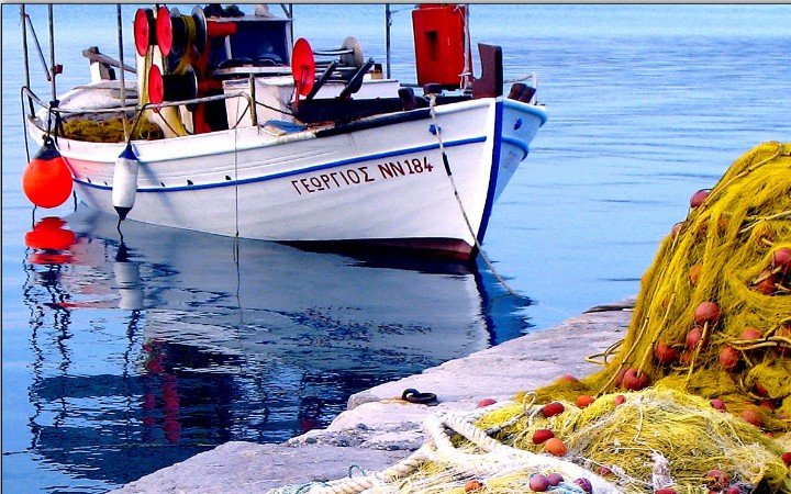 Μεγάλη συμμετοχή των αλιέων στις εκλογές της Ένωσης Πλοιοκτητών Παράκτιας Αλιείας και Αλιευτικού Τουρισμού Ελλάδος