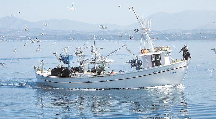 B. ΣΠΟΡΑΔΕΣ : Πρόγραμμα επιδότησης για αλιείς (Δράση 1.1.2 του ΠΑΛΥΘ 2021–2027)