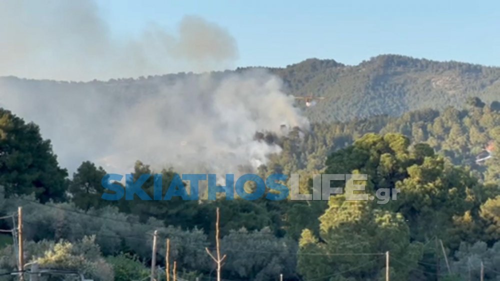 To Πυροσβεστικό Σώμα ενημερώνει για την φωτιά στη Σκιάθο